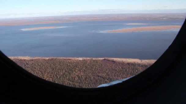 Impresionante vista aérea del dron de la calma de otoño Tundra — Vídeos de Stock