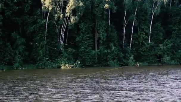 Η πετονιά τεντώνεται από ένα καλάμι ψαρέματος στο φόντο μιας λίμνης και μιας δασικής φύτευσης. — Αρχείο Βίντεο