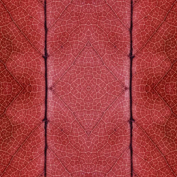 Complex Symmetrical Seamless Organic Pattern Red Texture — Stock Photo, Image