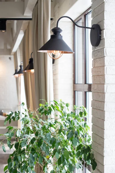 a lamp on the background of a window and a wall with curtains. indoor plant, green Tree