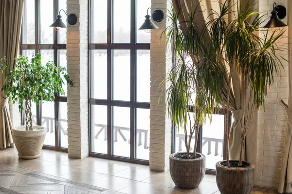 Una Lámpara Fondo Una Ventana Una Pared Con Cortinas Planta — Foto de Stock