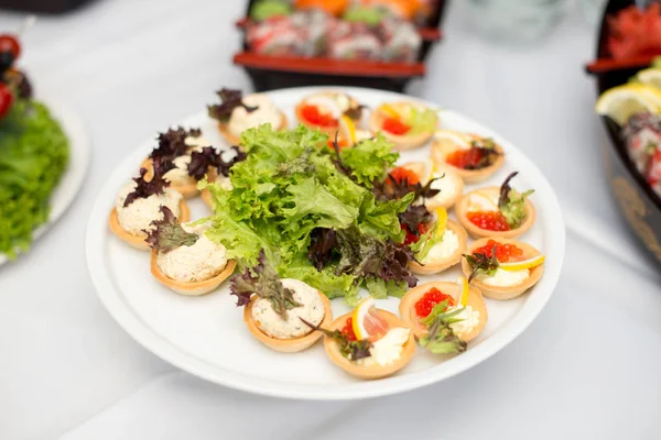 Set Tasty Canape Plate Greens Tomatoes Peppers Cheese — Stock Photo, Image