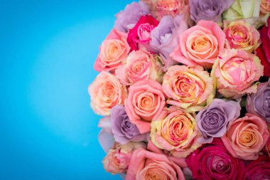 Güzel bir hediye kutusu içinde gül buketi. Pembe gül buketi. Pembe gül yakın çekim. mavi arka plan, metin için yer ile