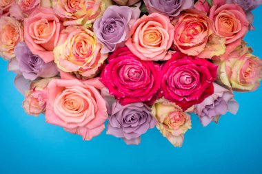 Güzel bir hediye kutusu içinde gül buketi. Pembe gül buketi. Pembe gül yakın çekim. mavi arka plan, metin için yer ile