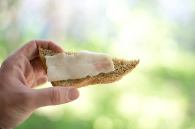 yeşil bir arka plan üzerinde elinde tuzlanmış domuz yağı ile sandviç