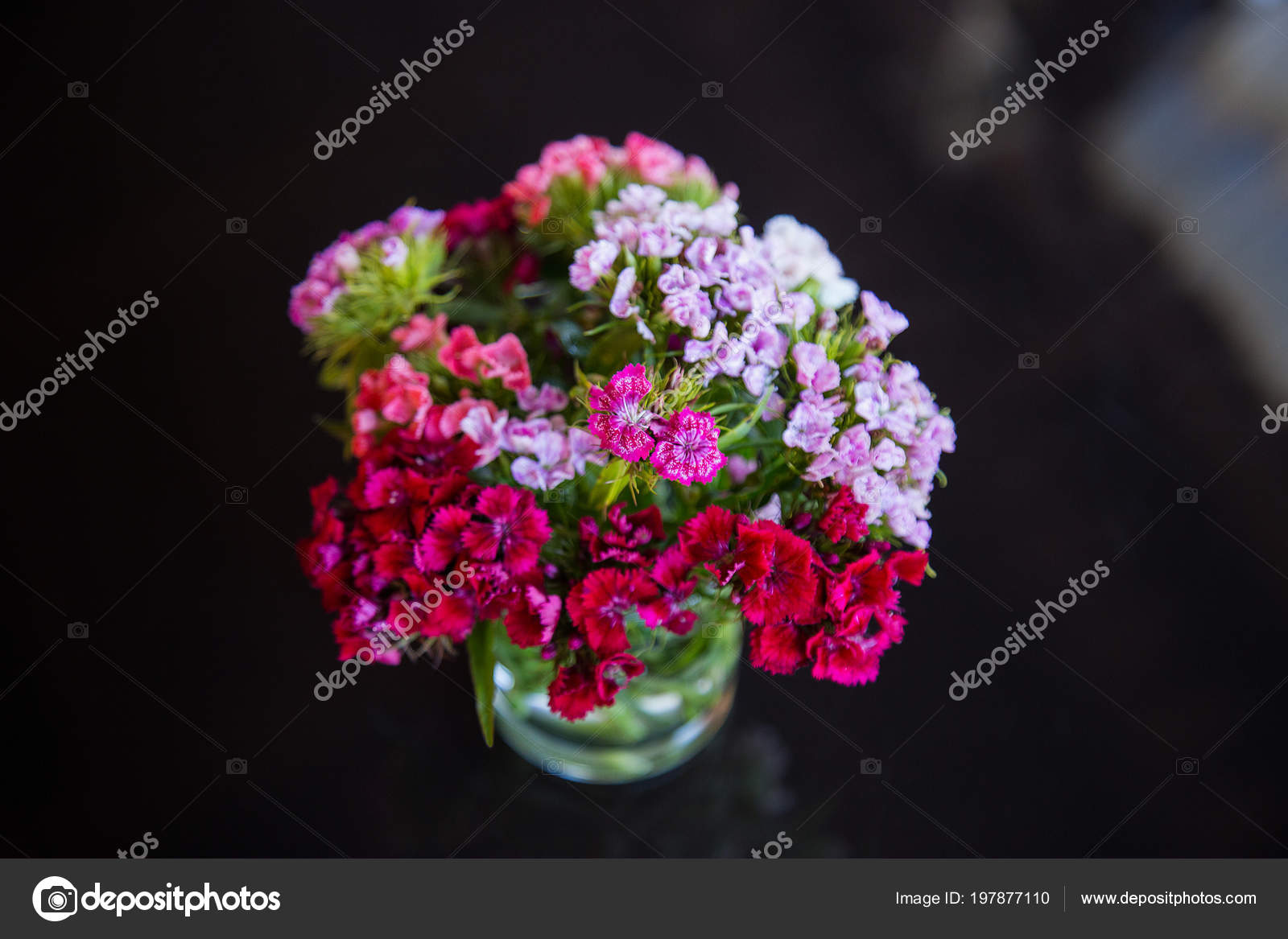 Bouquet Flowers Small Glass Vase Bright Bouquet Small Flowers