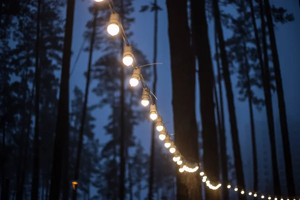 Dark background of bright luminous garlands. Garland of lamps in the forest