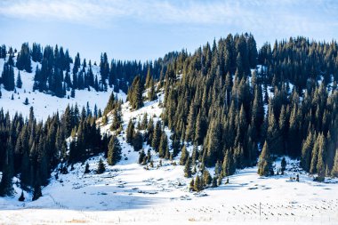 Kar dağ arka plan yılı, Çin Xinjiang, donmuş Sailimu Gölü
