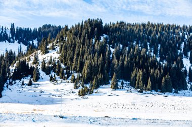 Kar dağ arka plan yılı, Çin Xinjiang, donmuş Sailimu Gölü