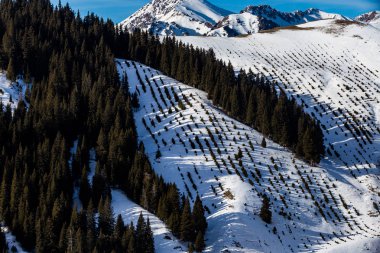  Kar dağ arka plan yılı, Çin Xinjiang, donmuş Sailimu Gölü