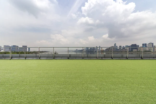 Panoramic skyline and buildings with green grass