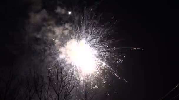 Bokeh Vervaging Van Vuurwerk Exploderende Nachts Aan Hemel — Stockvideo