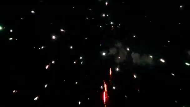 Bokeh Flou Feux Artifice Explosant Nuit Dans Ciel — Video