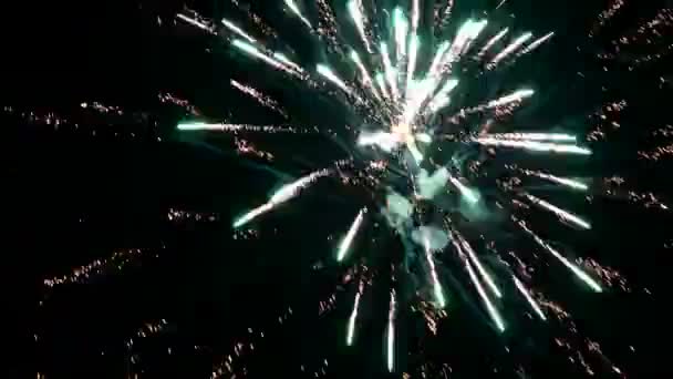 Bokeh Flou Feux Artifice Explosant Nuit Dans Ciel — Video