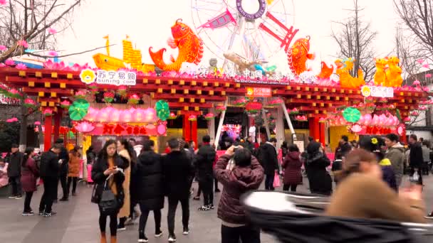 Feb 2018 Nanjing Çin Fenerler Insanlar Izlemek Için Konfüçyüs Tapınağı — Stok video