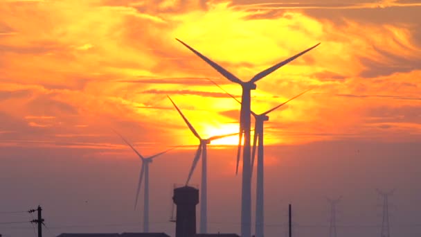 Windkraftanlagen Bei Sonnenuntergang — Stockvideo