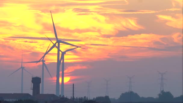 Turbinas Eólicas Atardecer — Vídeo de stock