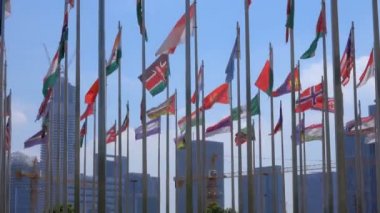  Dünyanın bayrakları