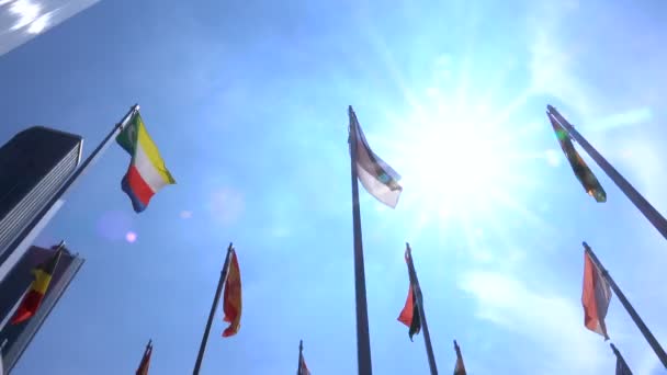 Σημαίες Του Κόσμου — Αρχείο Βίντεο