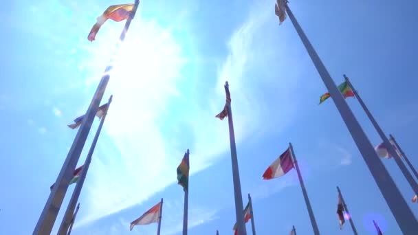 Flags World — Stock Video