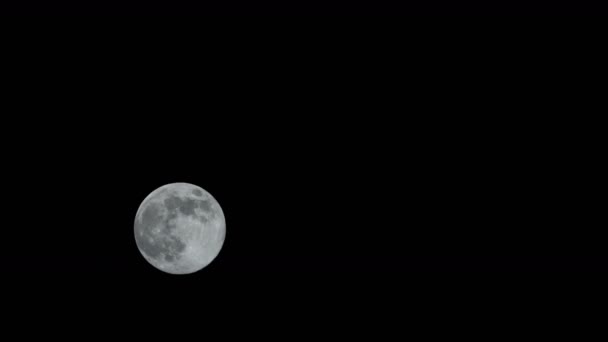 Lapso Tiempo Luna Llena Una Clara Toma Nocturna Desde Gran — Vídeo de stock