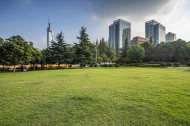 Panoramik manzarası ve yeşil çim binalarla