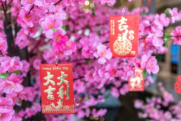 Chinese New Year Background Red Cards Pink Flowers Rechtenvrije Stockafbeeldingen