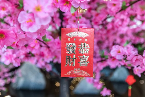 Chinese New Year Background Red Cards Pink Flowers Stockafbeelding