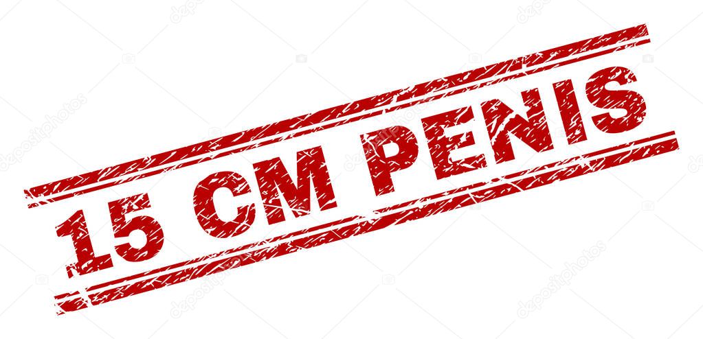 Penis 15 cm Average Penis