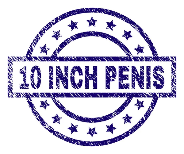 Grunge Textured 10 INCH PENIS Stamp Seal — Stok Vektör