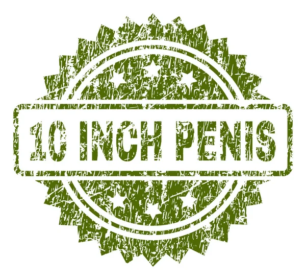 Gekrast getextureerde 10 Inch Penis stempel-zegel — Stockvector