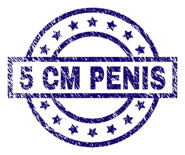 Scratched Textured 5 CM PENIS Stamp Seal — Stock Vector