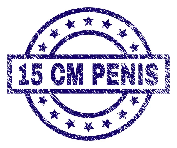 Grunge Textured 15 CM PENIS Stamp Seal — Stockvector