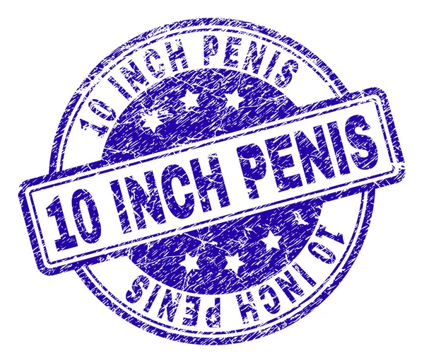 Gekrast getextureerde 10 Inch Penis stempel-zegel — Stockvector