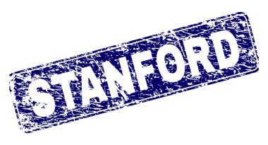 Yuvarlatılmış dikdörtgen damga grunge Stanford çerçeveli