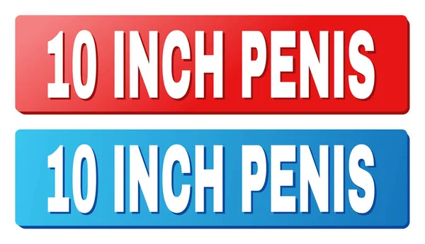 10 Zoll Penis-Bildunterschrift auf blauen und roten Rechteck-Knöpfen — Stockvektor