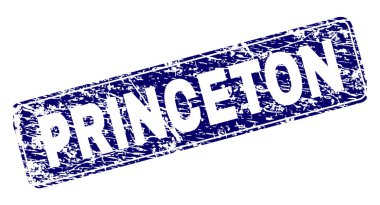 Yuvarlatılmış dikdörtgen damga çizilmiş Princeton çerçeveli