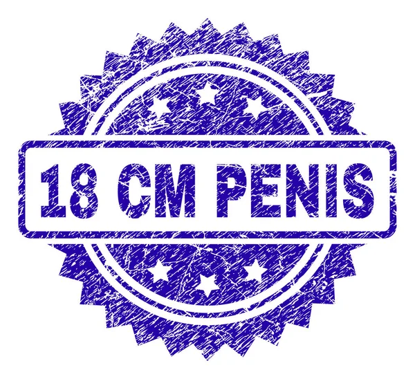 Grunge 18 CM PENIS Stamp Seal — Stockový vektor