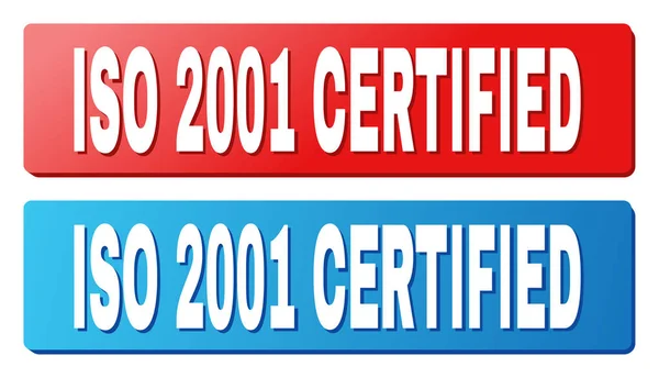 Mavi ve kırmızı dikdörtgen düğmeleri resim yazısını ISO 2001 sertifikalı — Stok Vektör
