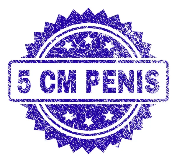 Sello de sello PENIS de 5 CM rayado — Vector de stock