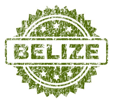 Grunge Belize damga mühür dokulu