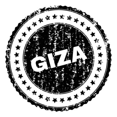 Grunge Giza damga mühür dokulu