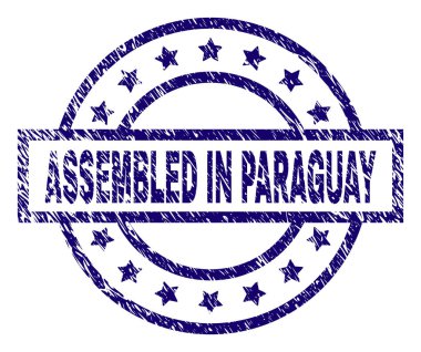 Grunge dokulu içinde birleştirilmiş Paraguay damga mühür
