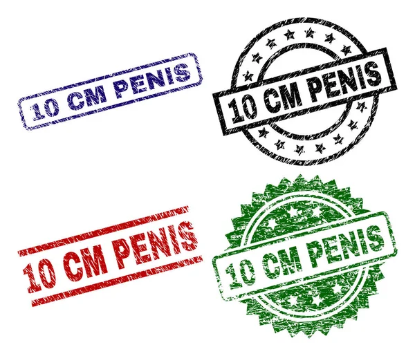 Scratched Textured 10 CM PENIS Stamp Seals — Stock Vector