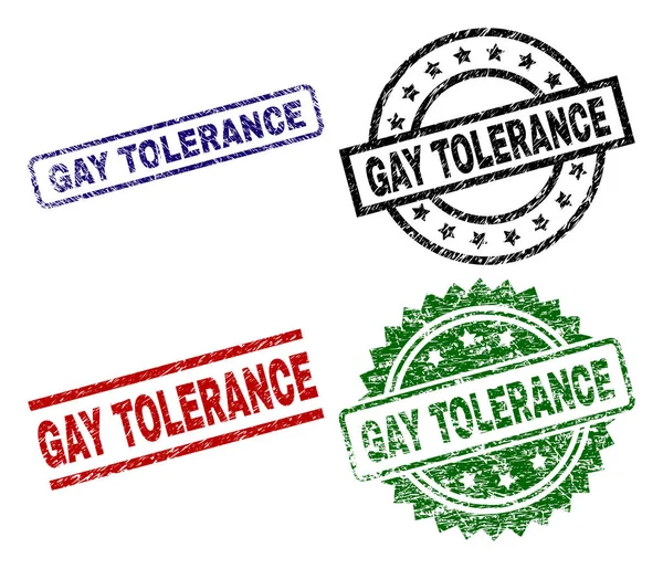 Beschädigte texturierte Homo-Toleranz-Stempel — Stockvektor