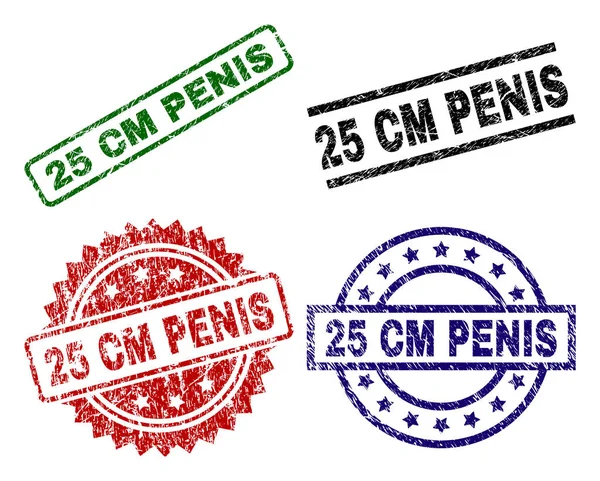 Grunge Textured 25 CM PENIS Stamp Seals — Stockvector