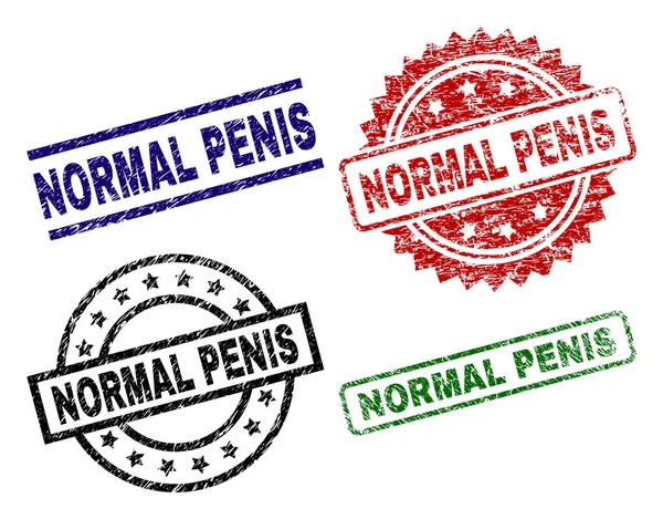 Grunge Textured NORMAL PENIS Seal Stamps — Stockový vektor