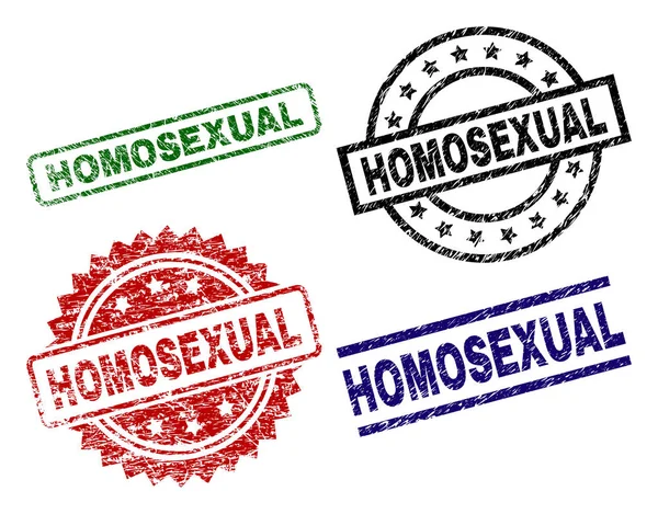 Damaged Textured HOMOSEXUAL Seal Stamps — Stock Vector