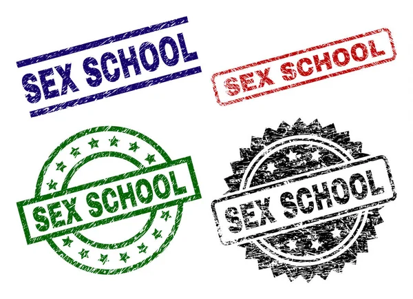 Damaged Textured SEX SCHOOL Seal Stamps — Stock Vector