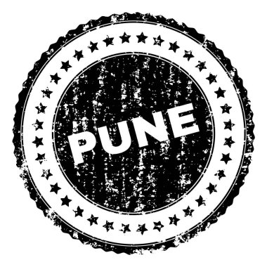 Grunge Pune damga mühür dokulu